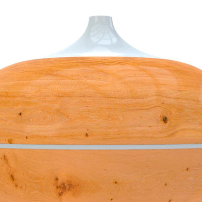 Nexxt Solutions Difusor de Aromas Inteligente con Conexión Wi-FI, NHA-A600